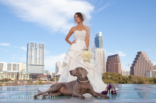 Bride with dog in front of skyline